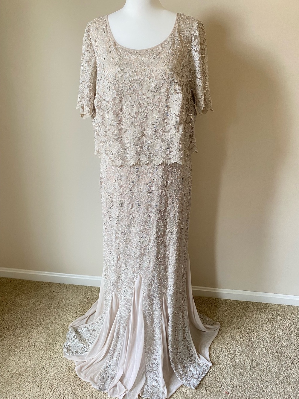 R&M Richards Sequin Lace Evening Gown Taupe Gala Concert Stage Formal Dress 14W